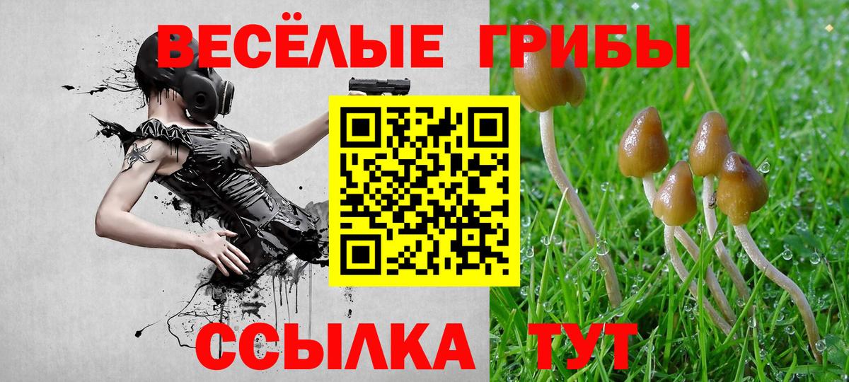 Псилоцибиновые грибы Magic Shrooms Кызыл