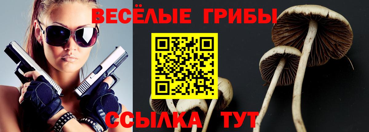 Псилоцибиновые грибы мухоморы  Вход с VPN  Кызыл 
